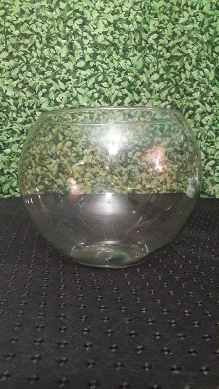 Vaso Aquário Vaso Aquário